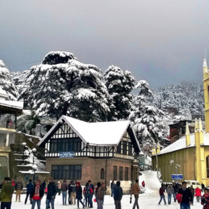 Shimla Honeymoon Packages