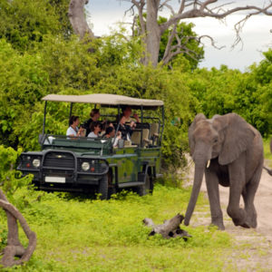 South Africa Holiday Packages