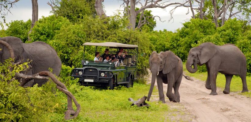 South Africa Holiday Packages