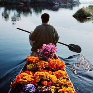 Srinagar Honeymoon Packages