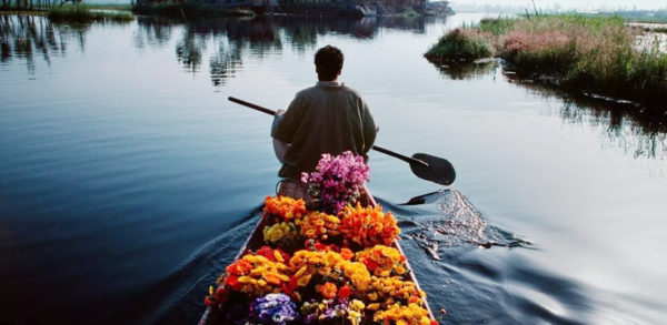 Srinagar Honeymoon Packages